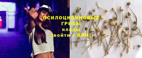 не бодяженный Армянск