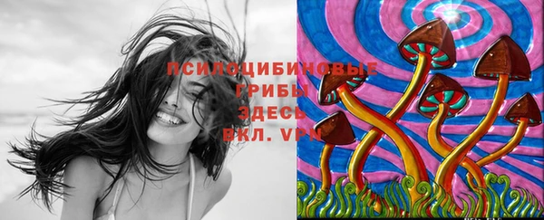 бутират Аркадак