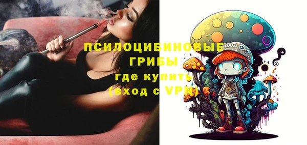 спайс Арсеньев