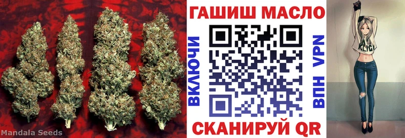 закладки площадка состав Дистиллят ТГК THC oil Рудня кракен ТОР
