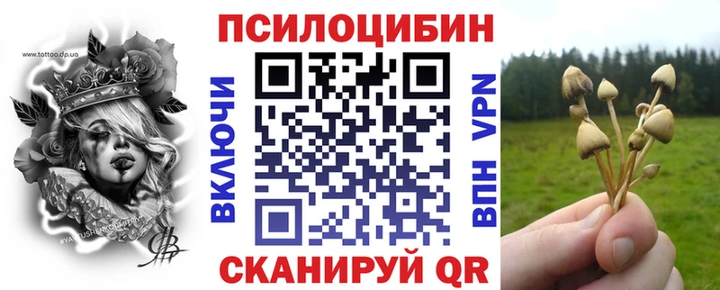 Псилоцибиновые грибы Psilocybine cubensis  Рудня 