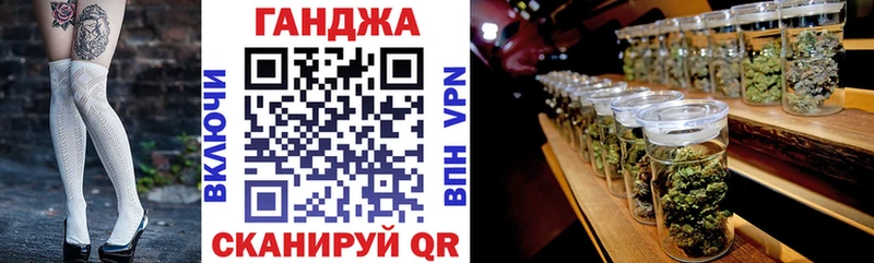 закладка  Рудня  Конопля гибрид 